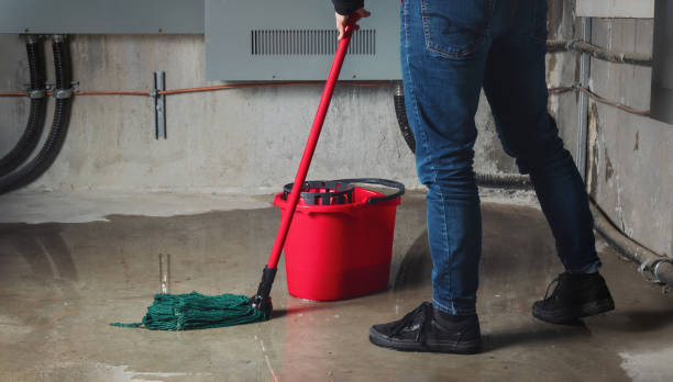Best Water damage contractors near me  in Chama, NM
