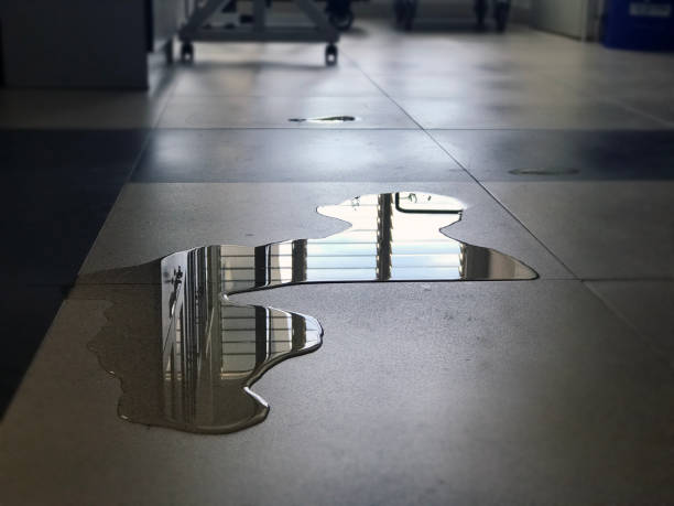 Best Professional water damage repair  in Chama, NM