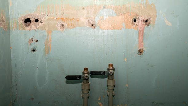 Best Ceiling water damage repair  in Chama, NM